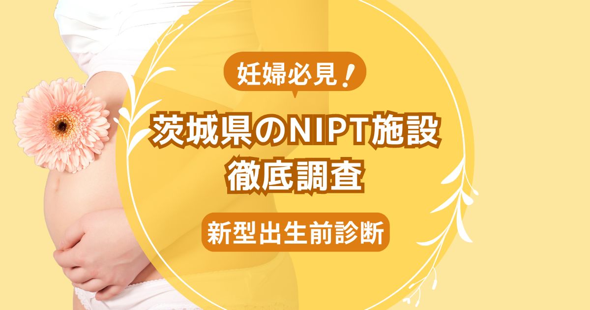 茨城県民おすすめNIPT施設ランキング【新型出生前診断】