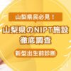 山梨県民おすすめNIPT施設ランキング【新型出生前診断】 (3)