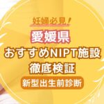 愛媛県民おすすめNIPT施設徹底検証【新型出生前診断】