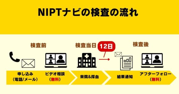 NIPTナビの検査の流れ